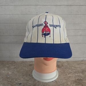 Vintage KC Sherwin Williams Paint Cover The Earth Pinstripe Adjus. Snapback Hat